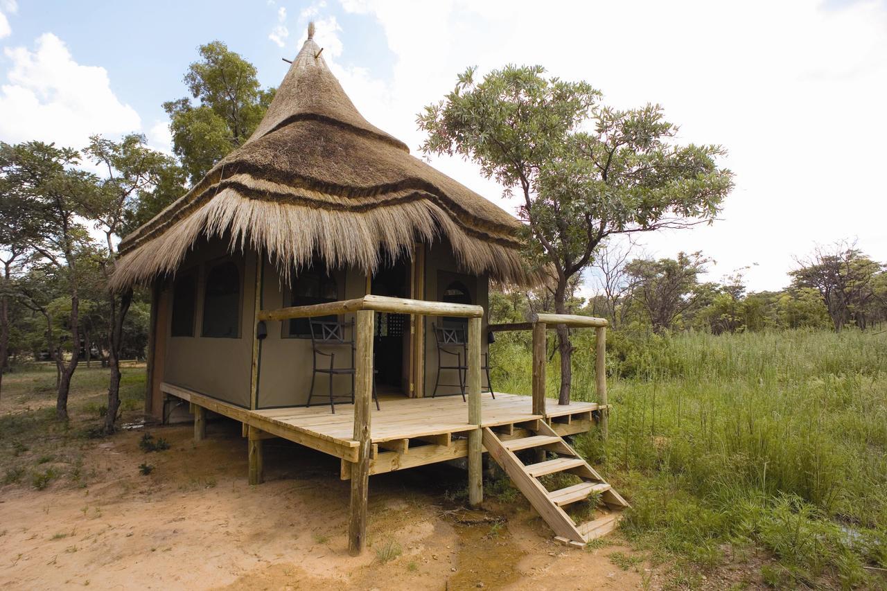 Wildside Safari Camp Villa Golders Green Eksteriør billede