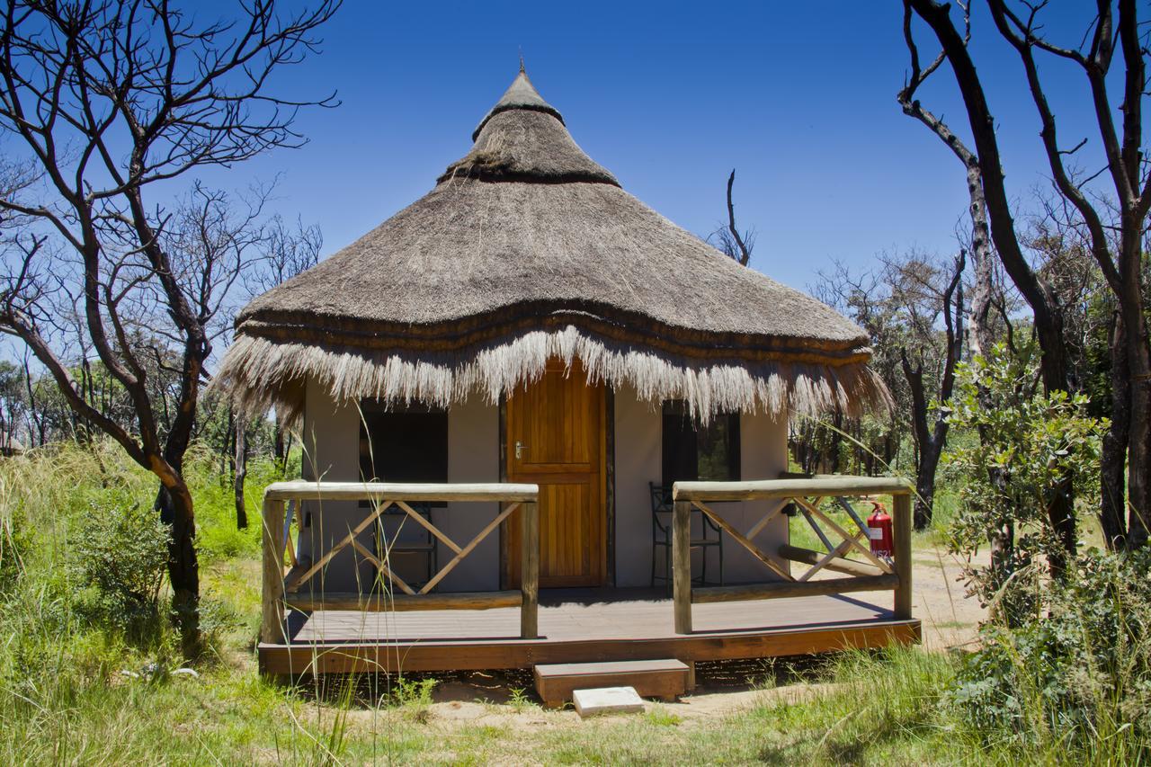 Wildside Safari Camp Villa Golders Green Eksteriør billede