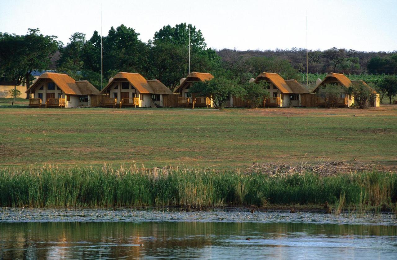 Wildside Safari Camp Villa Golders Green Eksteriør billede